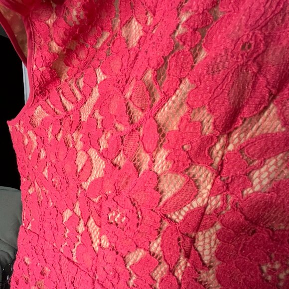 The Limited Coral Lace Fit & Flare Dress | Size 0P | Elegant Cocktail Style - Picture 4 of 8